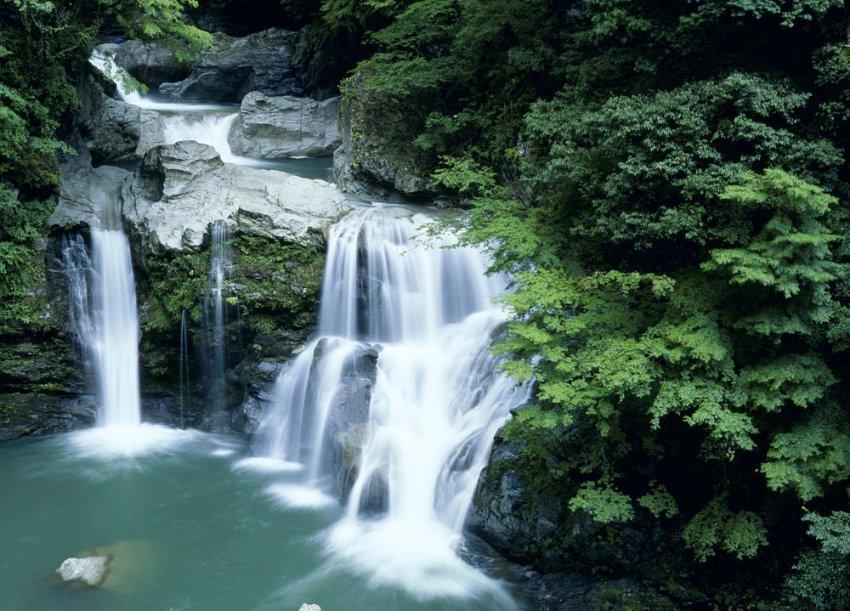 王傲世的梦